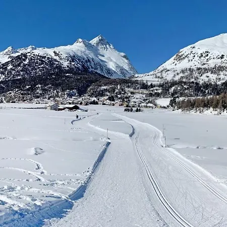 Residenza Chesa Margun 58-5 By Interhome * Surlej